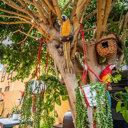 Ke Casetta Tenerife Salvador And Santiago Apartments Las Rosas  Zewnętrze zdjęcie