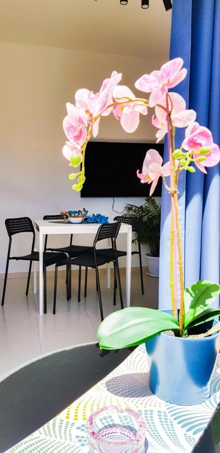 Ke Casetta Tenerife Salvador And Santiago Apartments Las Rosas  Zewnętrze zdjęcie
