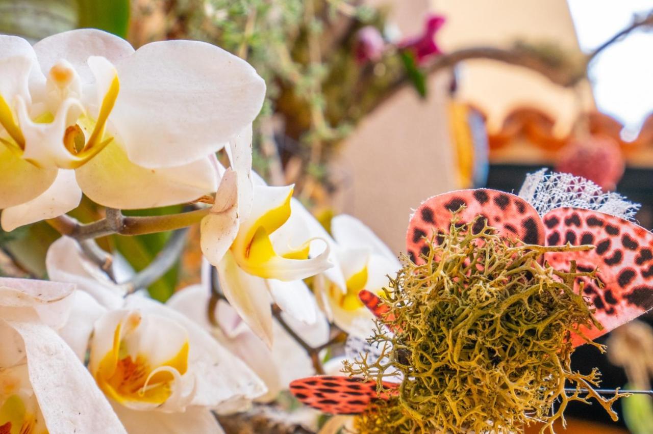 Ke Casetta Tenerife Salvador And Santiago Apartments Las Rosas  Zewnętrze zdjęcie